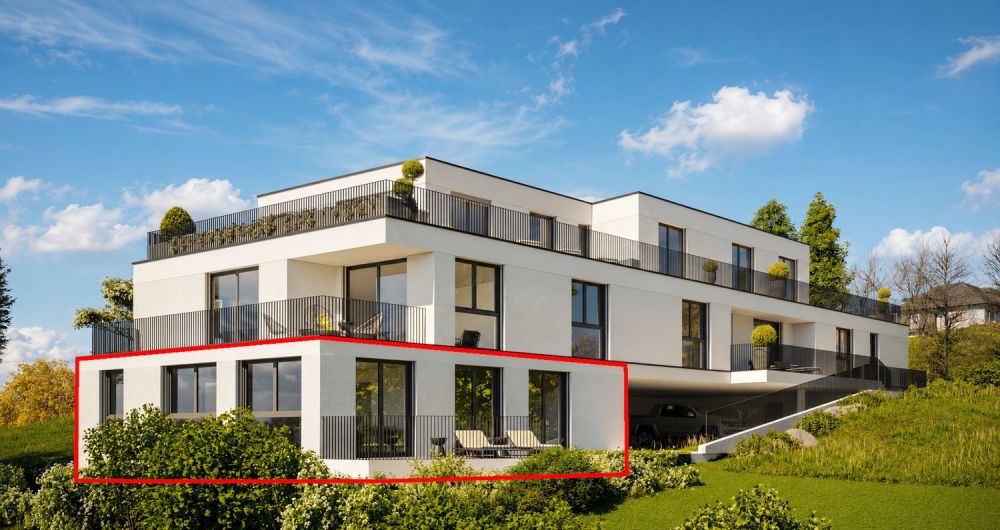 Moderne 3.5-Zimmer-Neubauwohnung im Erdgeschoss in Menziken -  Bild 1