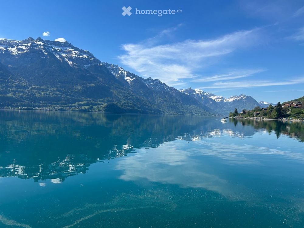 Stunning Lake View Brienz -  Bild 10