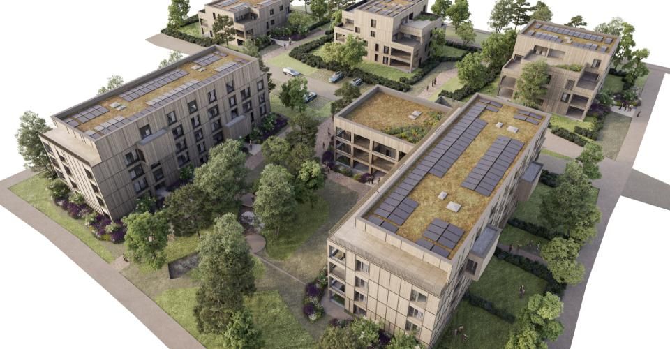 Attique de 2.5 pièces avec grande terrasse - Appartement 2.5 pièces - image - 5