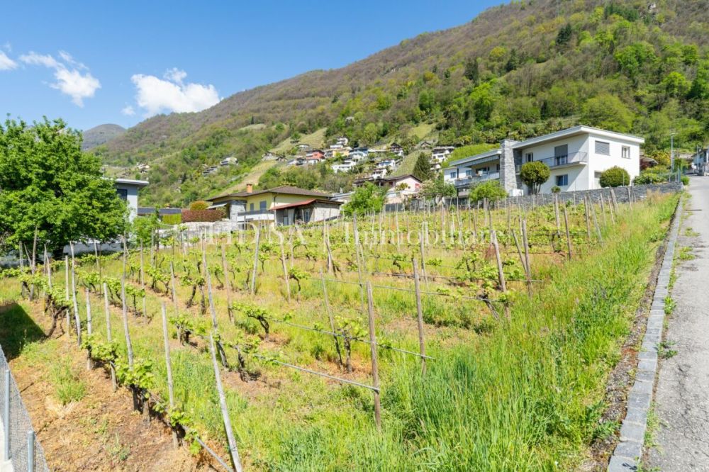 GORDOLA - 4 moderne case unifamiliari con giardino in posizione soleggiata -  Bild 3