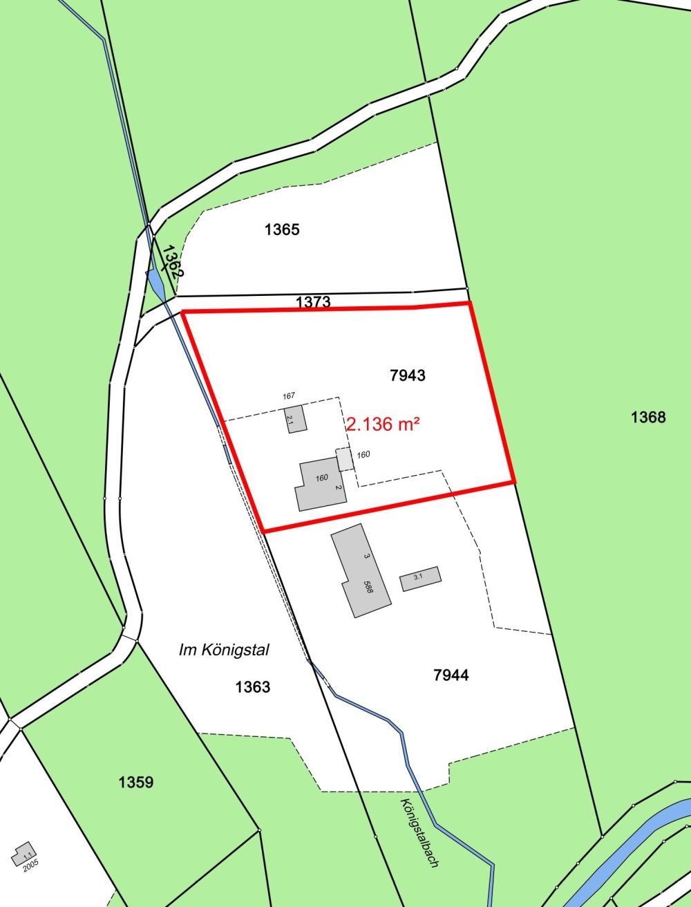 NATURJUWEL: 2'136m² Wiese, mit 1 bewilligtem Haus, 100% autark, Natur pur Waldlichtung -  Bild 7