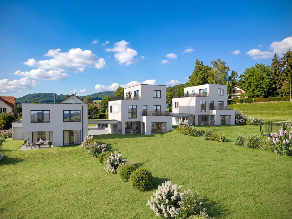 Seltene Chance: EFH in Reinach mit aussergewöhnlich viel Land -  Bild 2