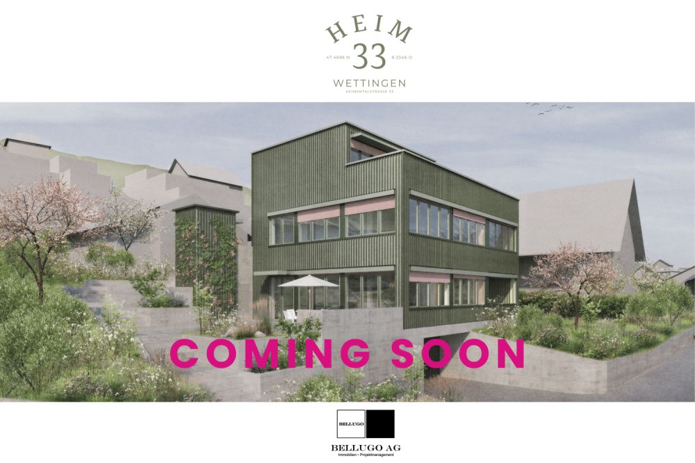 NEUBAU VILLA EFH oder 2 WOHNUNGEN -  Bild 1