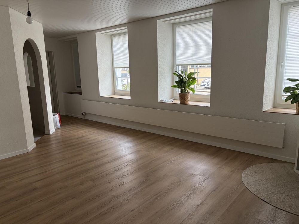 Erstbezug nach Sanierung: Helle 1.5-Zimmer-Wohnung -  Bild 1