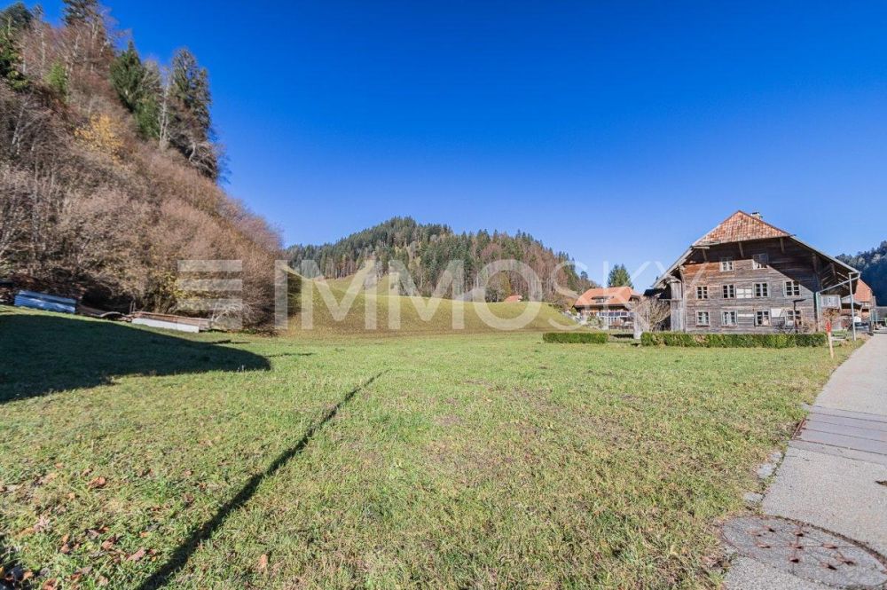 S'mittlere - Neubau-Einfamilienhaus mit Emmentaler Charme - Beste Lage im Grünen