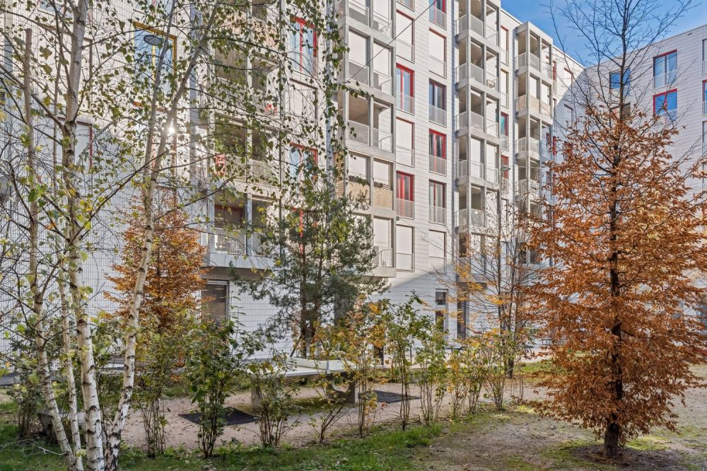 Ihr neues Zuhause im Nidfeld - Bild 5