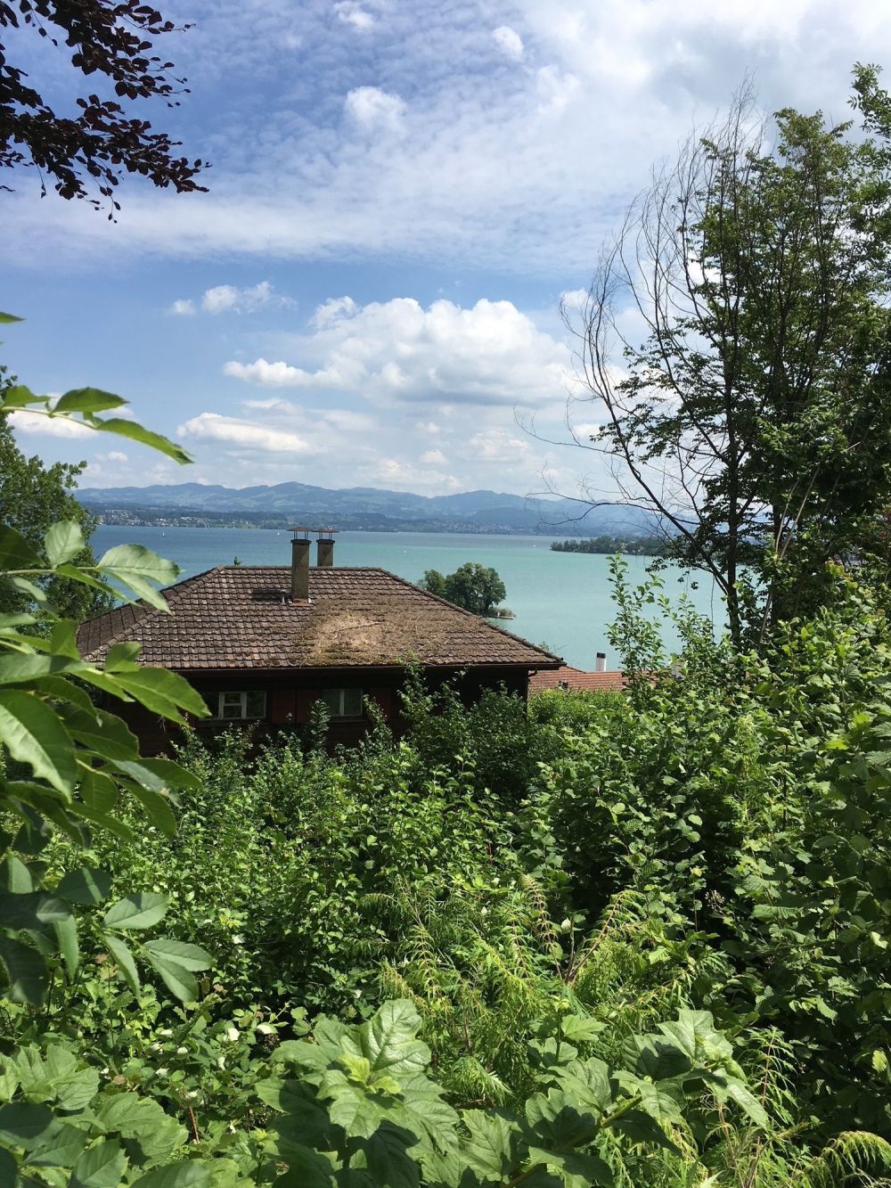 NEUES ENTSTEHT..... - Bild 4