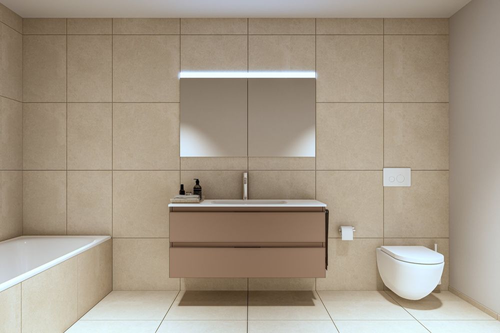 Wohnüberbauung ALZBACHFELD Reinach - 5.5-Zimmer-Eigentumswohnungen - Bild 6