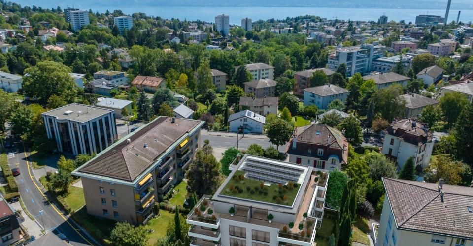 Appartement neuf de 3.5 pièces au rez-de-chaussée - Appartement 3.5 pièces - image - 1