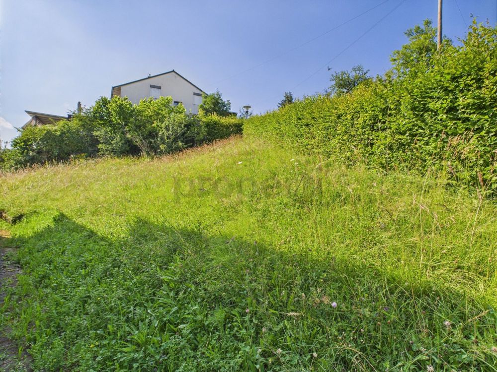 Bebautes Grundstück in Wölflinswil - Image 4