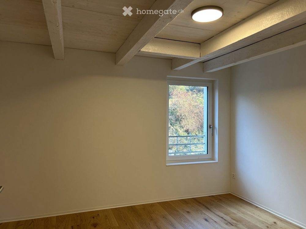 Charmante Wohnung nach Gesamtsanierung – Hauptstrasse 183, Thalheim -  Bild 11