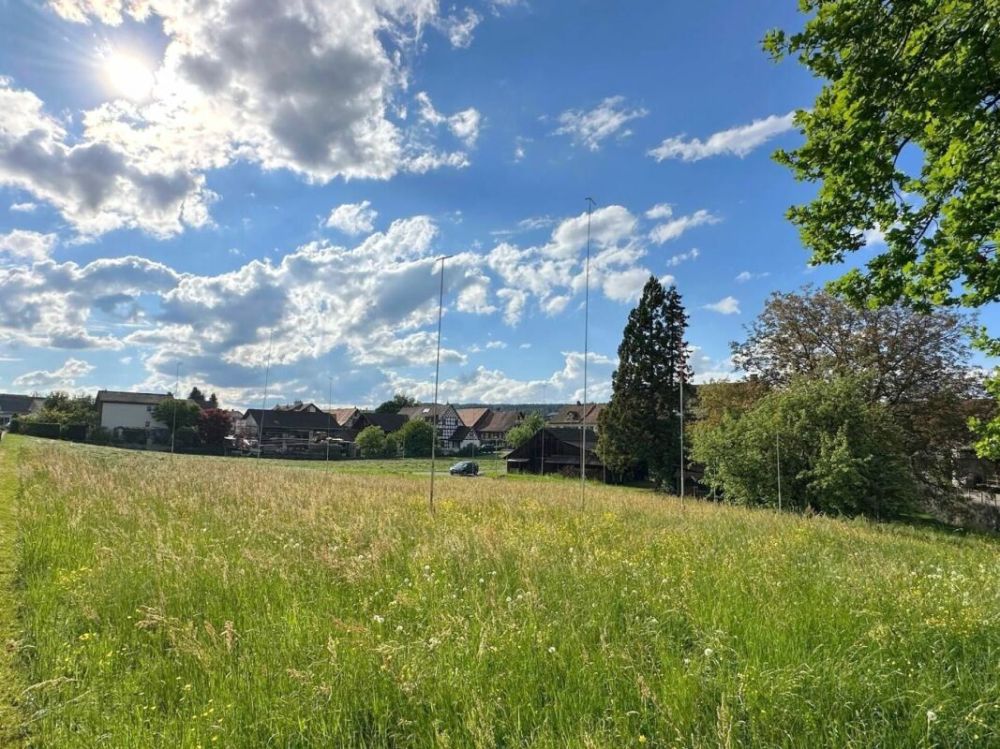 Ihr neues Zuhause im Grünen - Projekt Kleeblatt Pfyn -  Bild 1