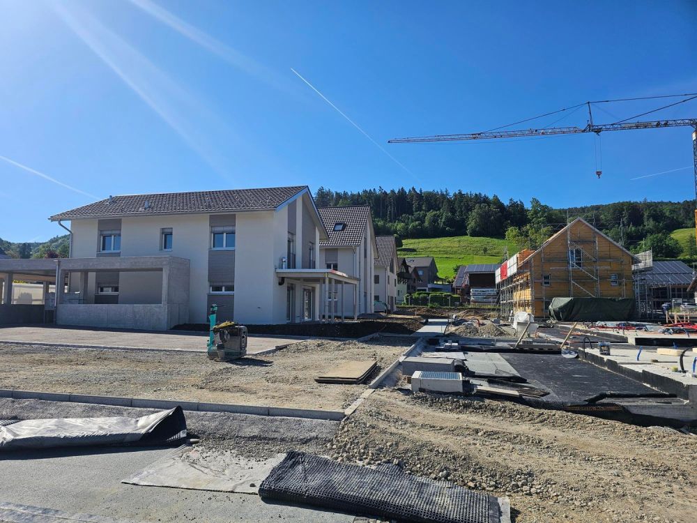 Freie Besichtigung des letzten Rheienhauses am 06.06.2026 -  Bild 3
