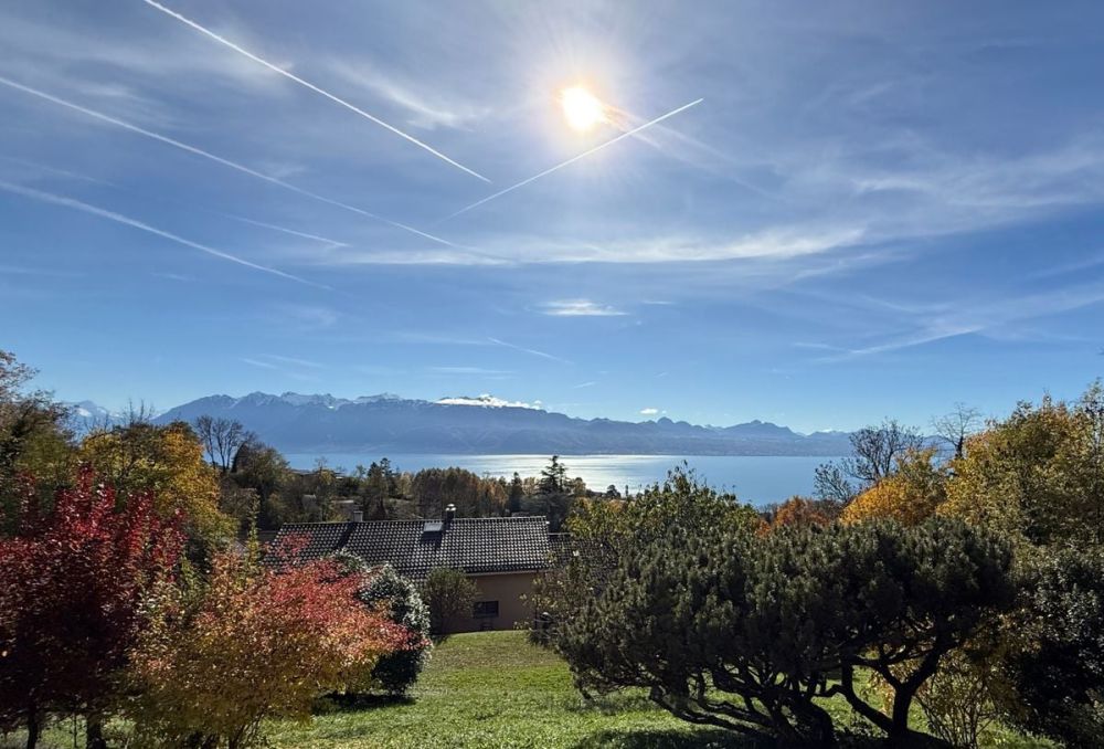 Die Villas Althéa - Los B -  Bild 6