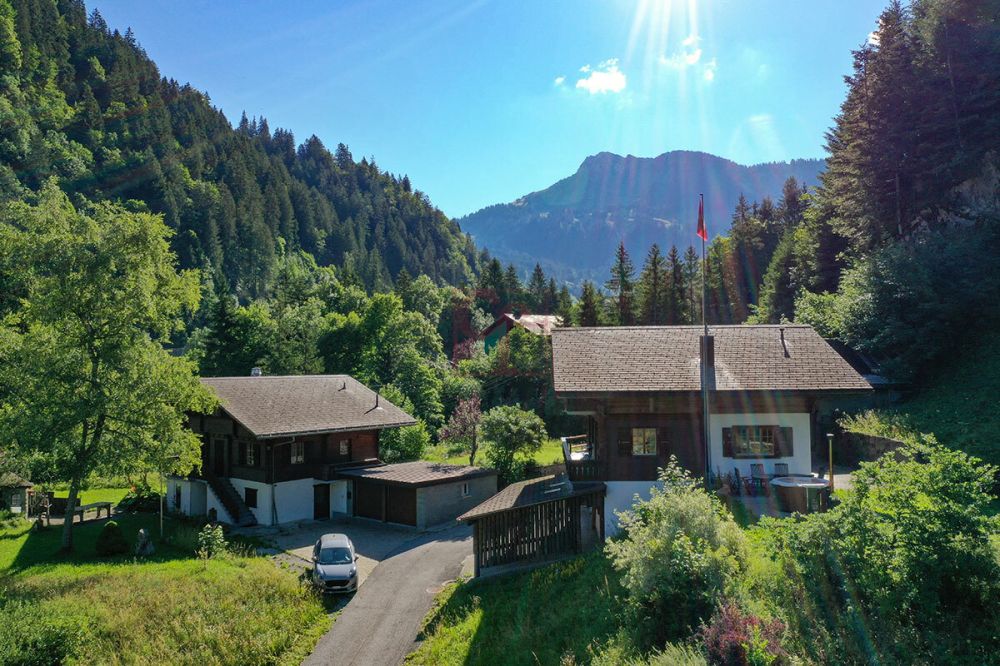 Prächtiges Chalet auf Plan in Jaun -  Bild 6