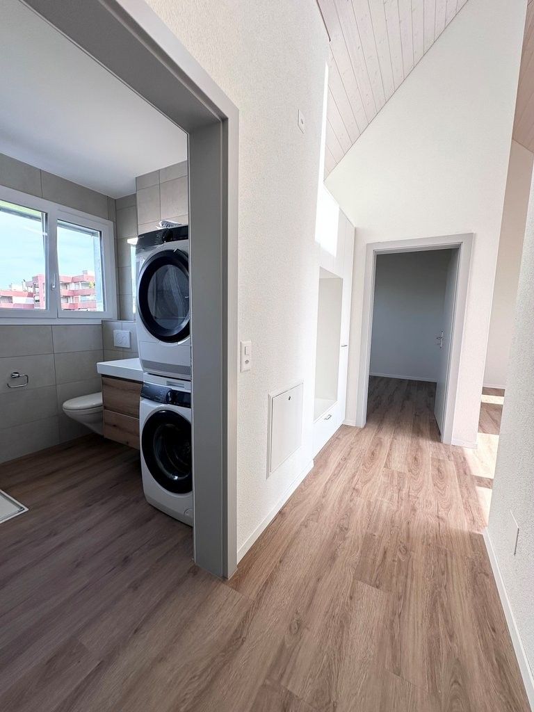 LOFTCHARME - Erstvermietung moderner Dachwohnung!! - Eingangsbereich