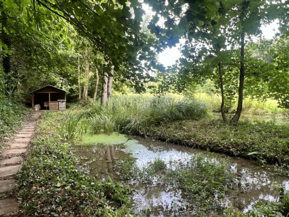 Saniertes 5.5 Zimmer Einfamilienhaus mit eigenem Wald! Ein wahres Bijoux für Geniesser und Naturliebhaber - Bild 12