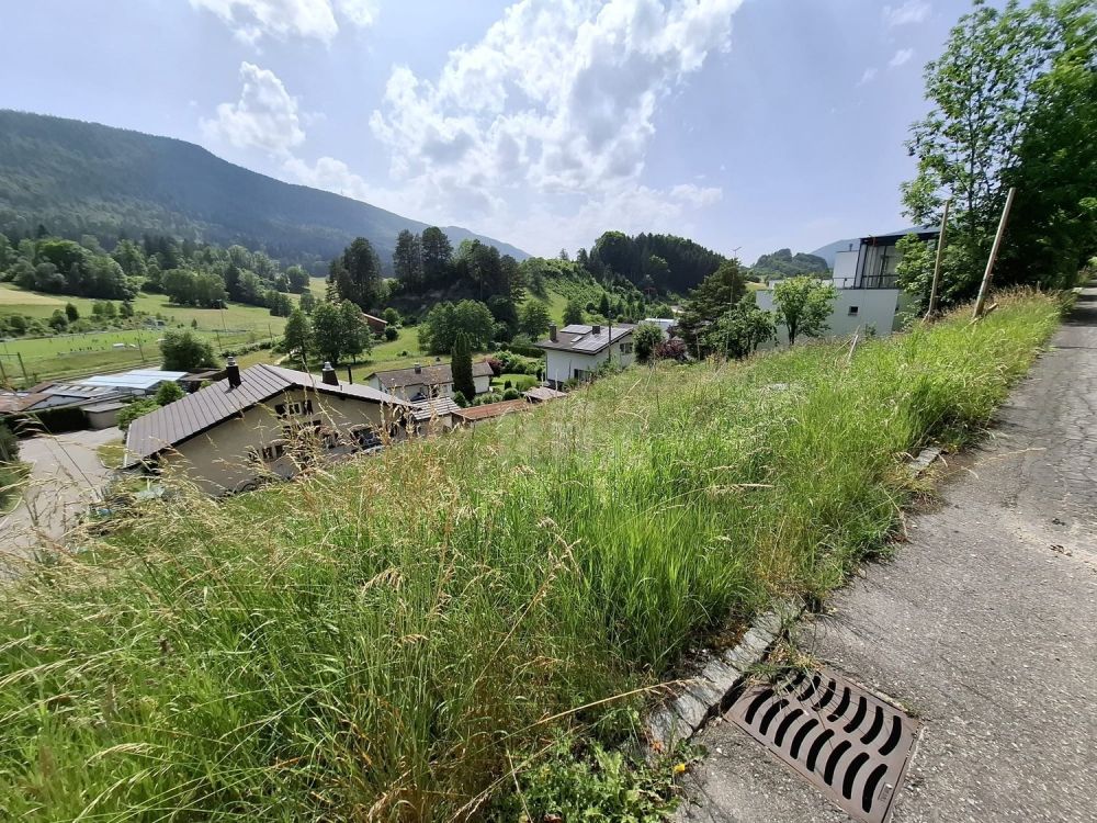 NEUF! Villa sur les hauteurs de Court - Bild 9