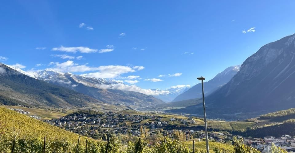 Promotion de 2 villas mitoyennes de 4.5 pces au calme, vue panoramique - Immeuble résidentiel 9 pièces - image - 9