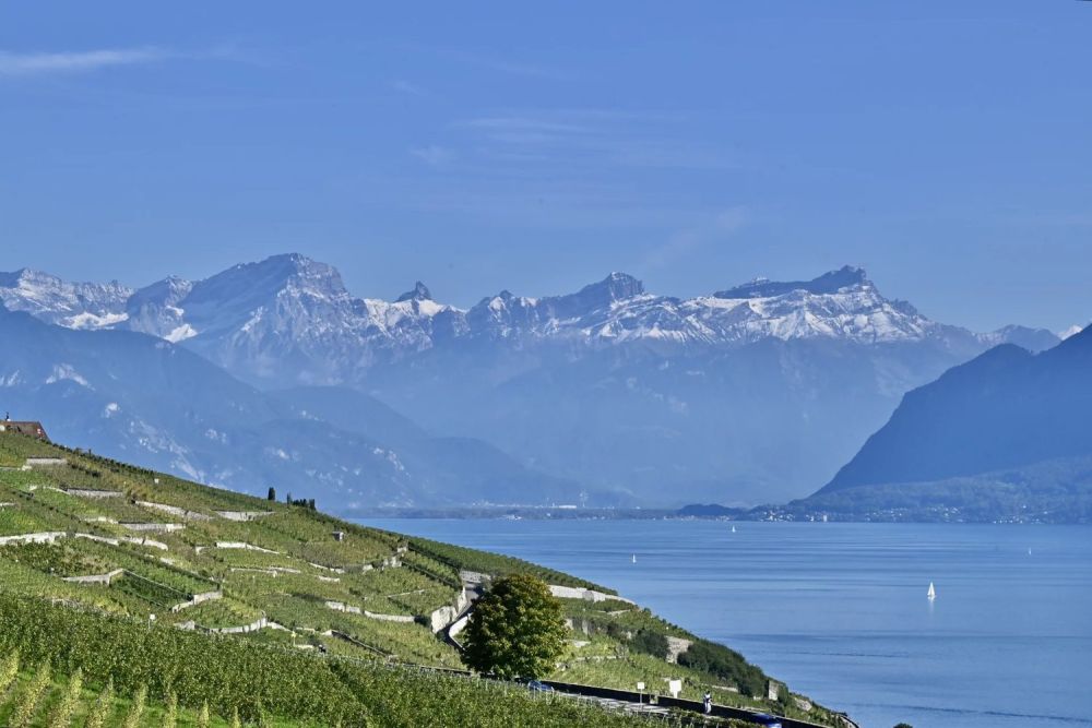 Moderne Wohnung mit spektakulärer Aussicht in Lavaux -  Bild 4