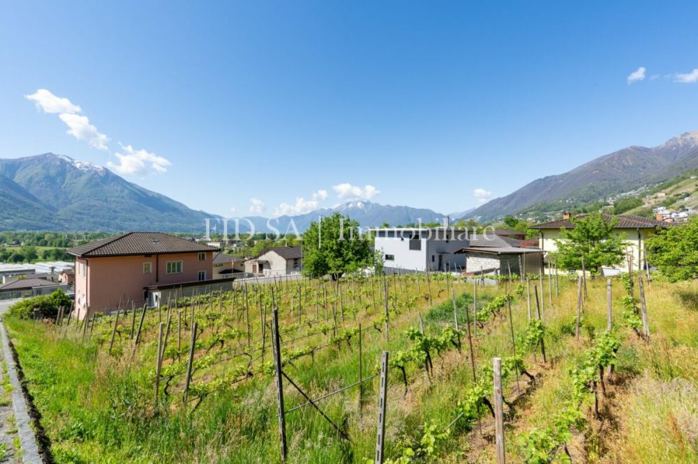 GORDOLA - 4 moderne case unifamiliari con giardino in posizione soleggiata -  Bild 2