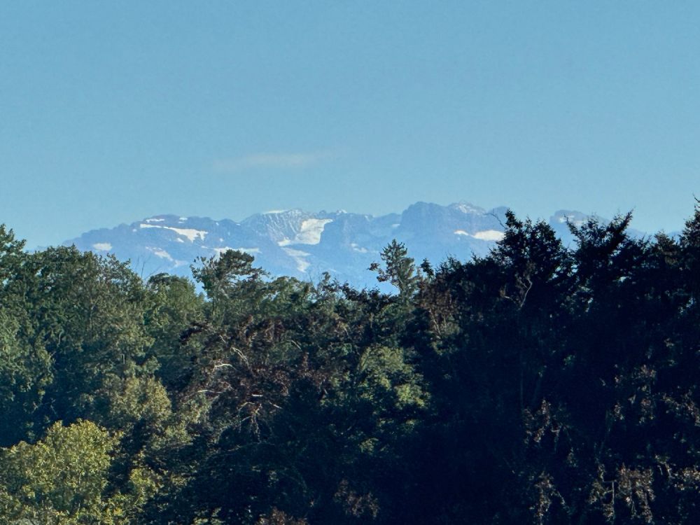 Freistehendes 5.5 Zi. EFH mit Weit- + etwas Seesicht, im Steuerparadies Meisterschwanden -  Bild 4