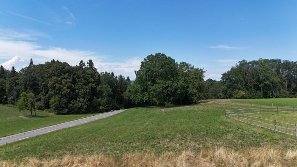 Neubau 5.5-Zi.-Doppeleinfamilienhaus an erhöhter Wohnlage mit Weitsicht in Amlikon-Bissegg (Haus A) -  Bild 6