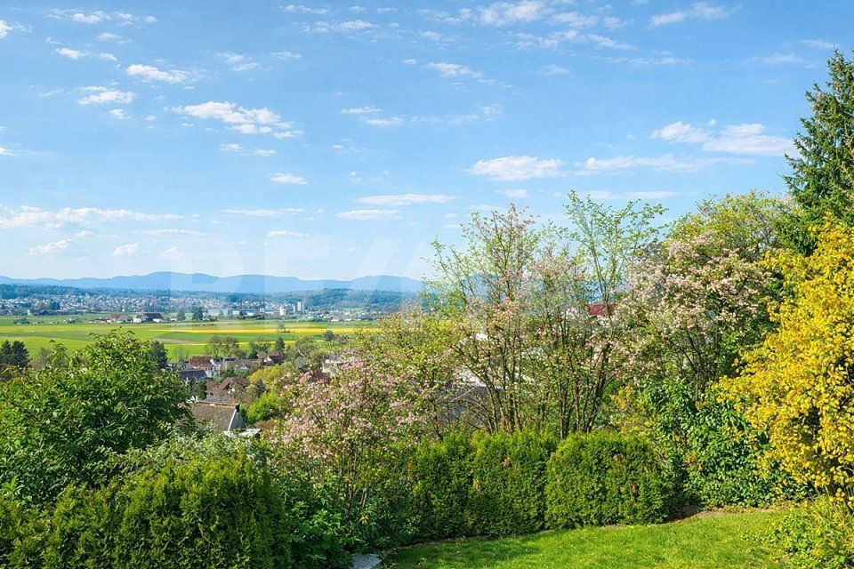 Nähe Aarau, A1 / A2 Kreuz Mittelland, erstklassige bevorzugte Villen-Hanglage mit Weitsicht, 3 REFH -  Bild 2
