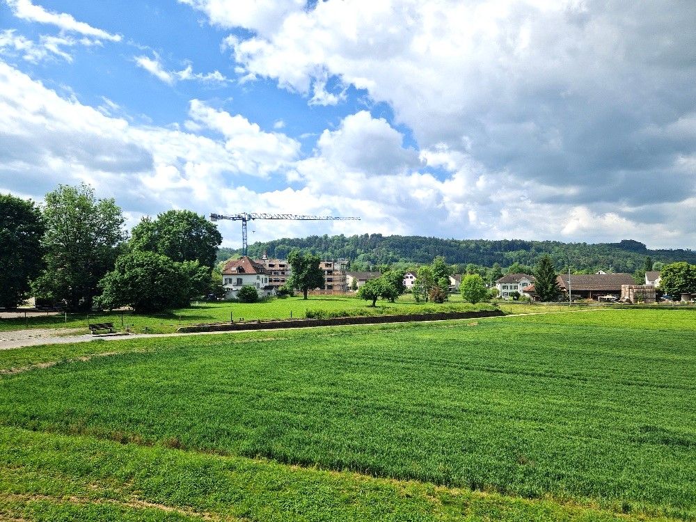 Moderne 3.5 Zimmer Wohnung – nachhaltig gebaut für alle Generationen. - Bild 5