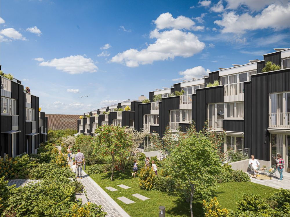 Nachhaltiges Wohnen im Reiheneinfamilienhaus in Zumikon - Bild 1