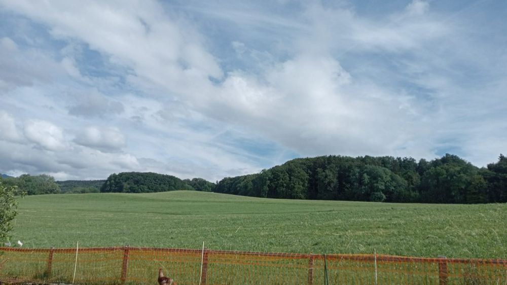Villa mitoyenne 5.5 pièces en pignon en cours de construction livraison été 2027 -  Bild 3