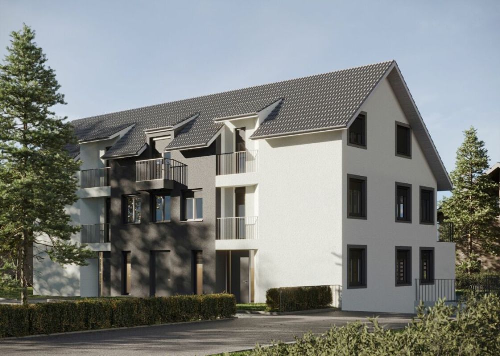 Neubauprojekt in Top-Lage: Leben Sie den Traum in Oberweningen - Bild 2