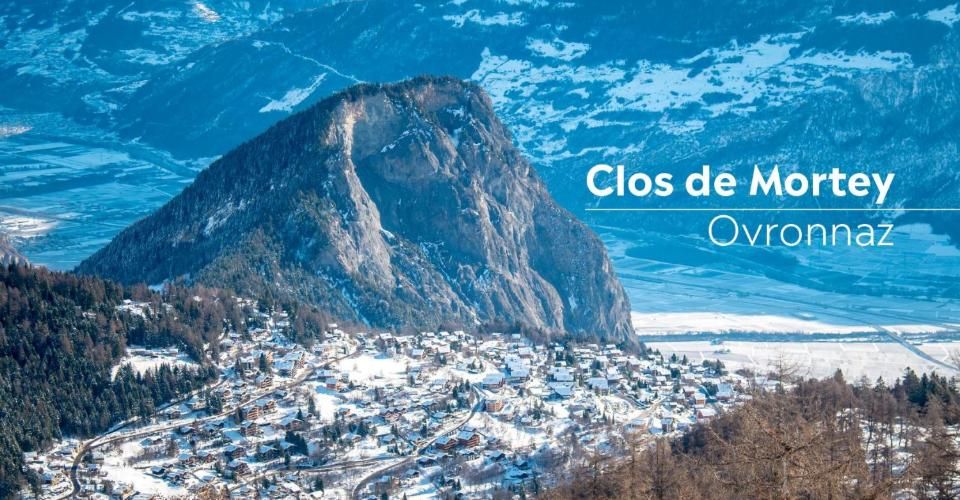 2.5 pièces neuf avec terrasse Sud et vue montagne - Appartement 2.5 pièces - image - 10