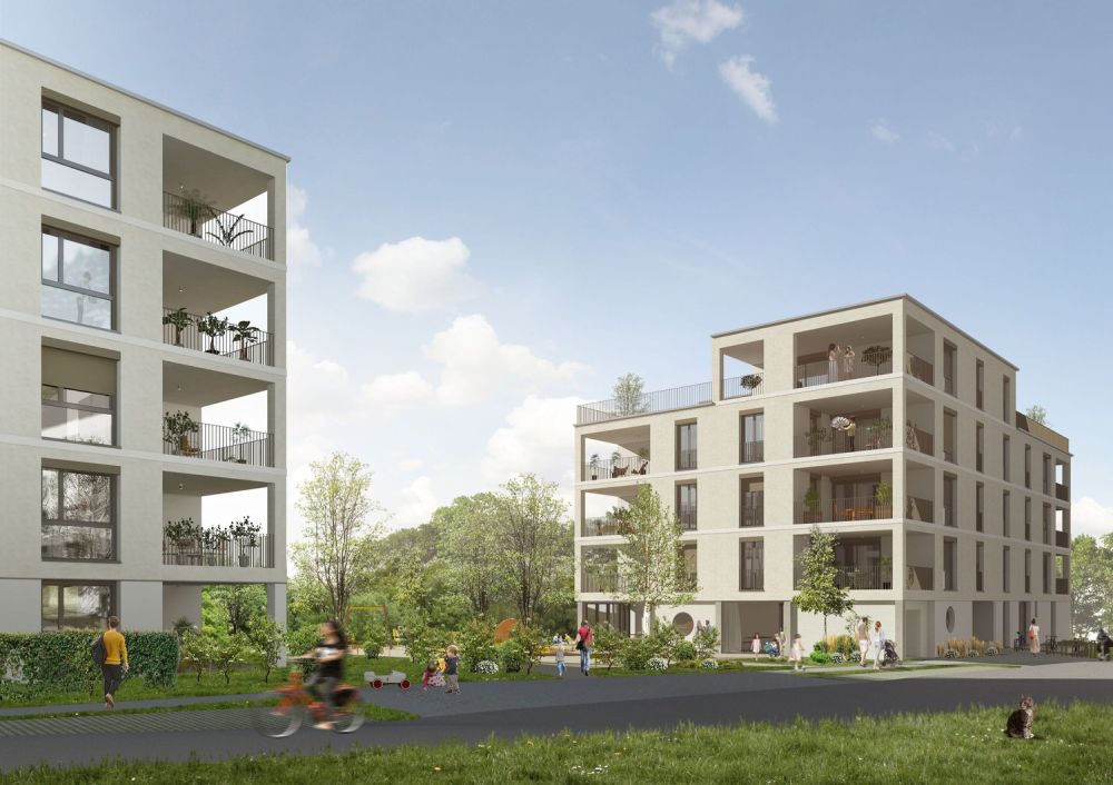 3.5-Zi. Attika mit Weitsicht, Terrasse - kaufen in Schaffhausen - Bild 5