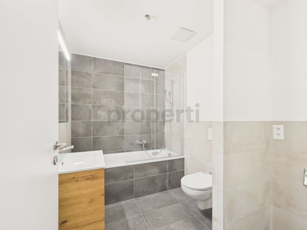 Superbe 4.5 pièces neuf avec une vue imprenable sur les montagnes - Image 11