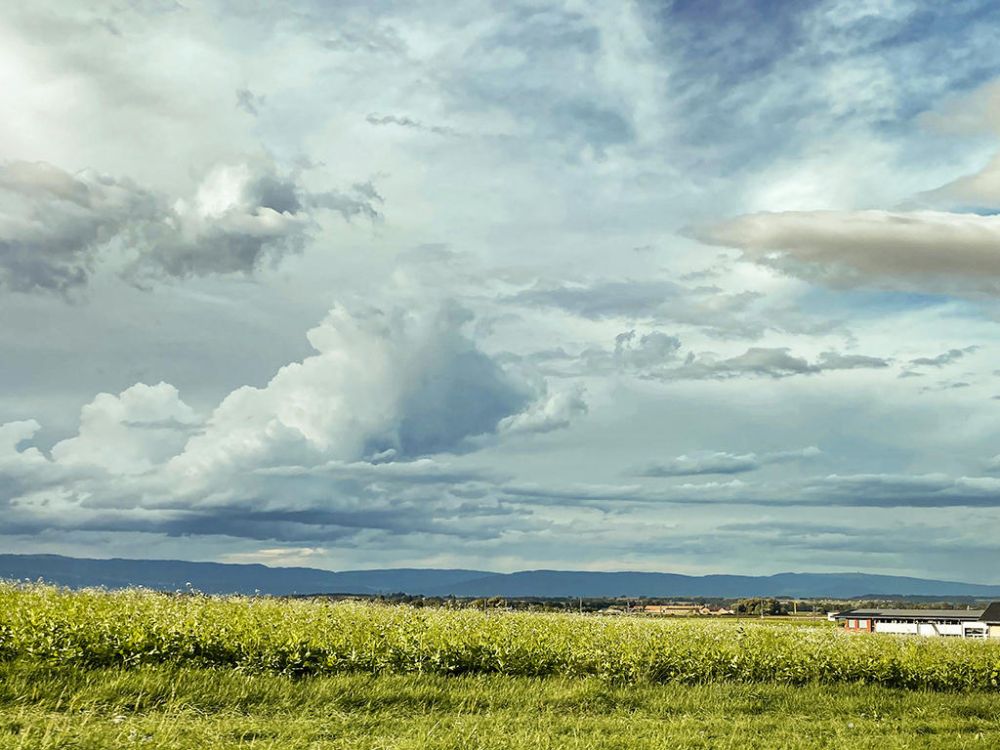 CORCELLES-PRES PAYERNE - MAISON AVEC RENDEMENT ET POTENTIEL CONSTRUCTIBLE - Bild 1