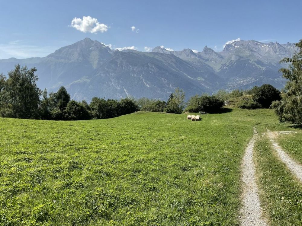 Chalets à vendre à la Tzoumaz au coeur du domaine des 4 Vallées - Bild 4
