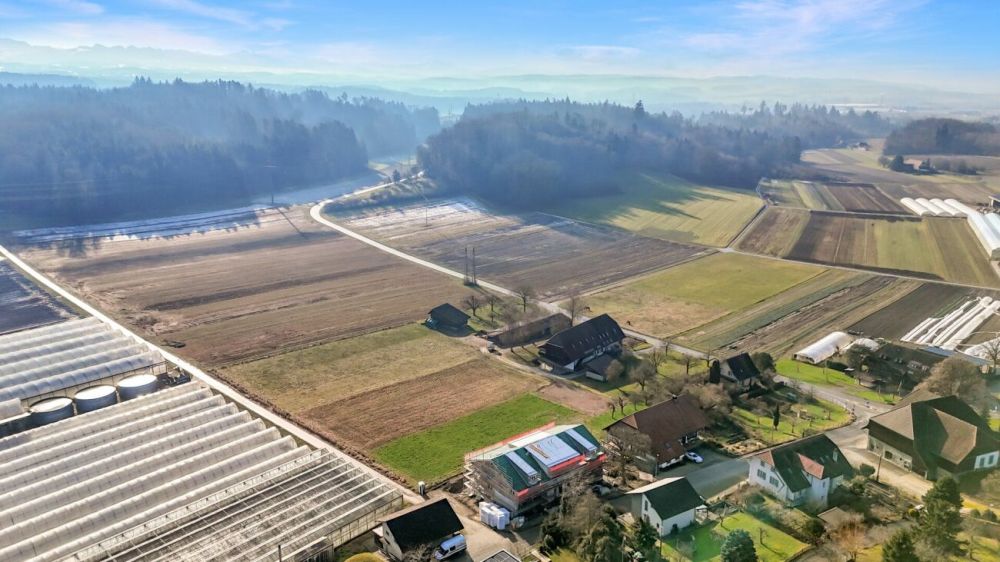 IN GOLATEN (BE) - Wie im Einfamilienhaus - Duplex-Gartenwohnung mit Aussicht - Bild 9