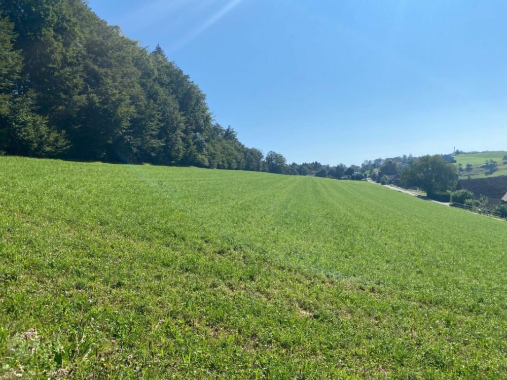 Exklusives Einfamilienhaus in Hanglage mit Weitblick und optionaler Einlegerwohnung - Bild 3