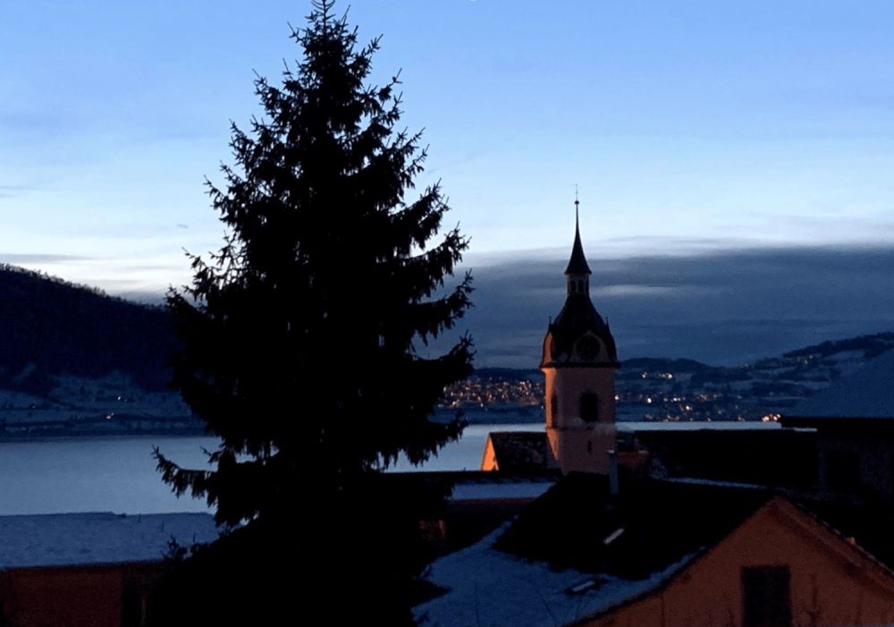 Freistehendes 2.5-Zimmer-Chalet in Walchwil – See-/Rigi-Sicht – Neubau 2026 -  Bild 6