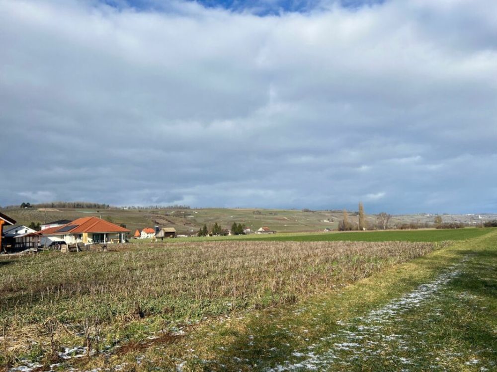 Doppeleinfamilienhaus mit Sicht in die Weinberge -  Bild 13