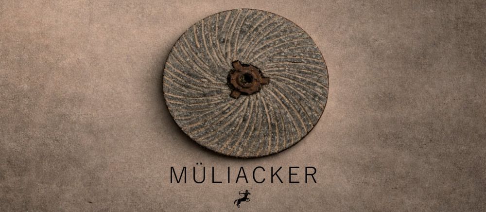 Müliacker Rafz - Gartenwohnung 0.1 - Bild 1