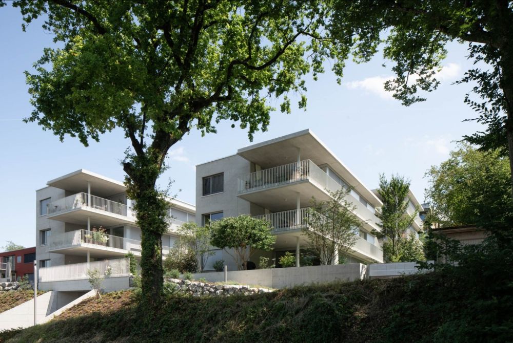 Moderne 3.5-Zimmer-Wohnung mit grossem Balkon und kleinem Garten -  Bild 2