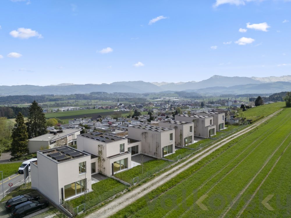 Top of Sins - Bild 2