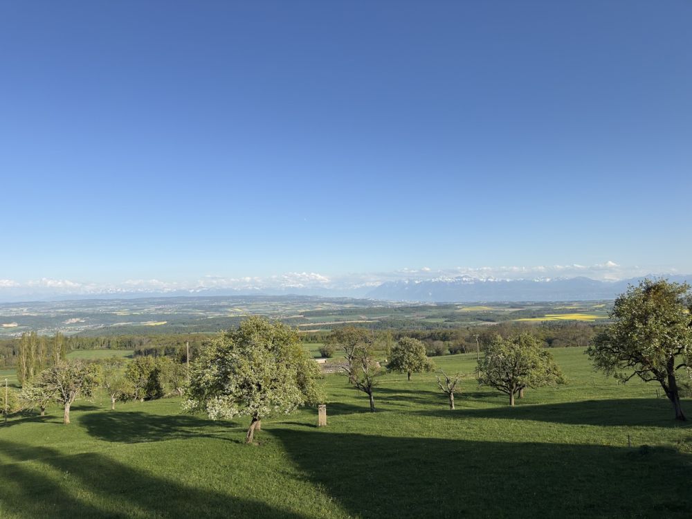 Campagne et qualité de vie ! -  Bild 11