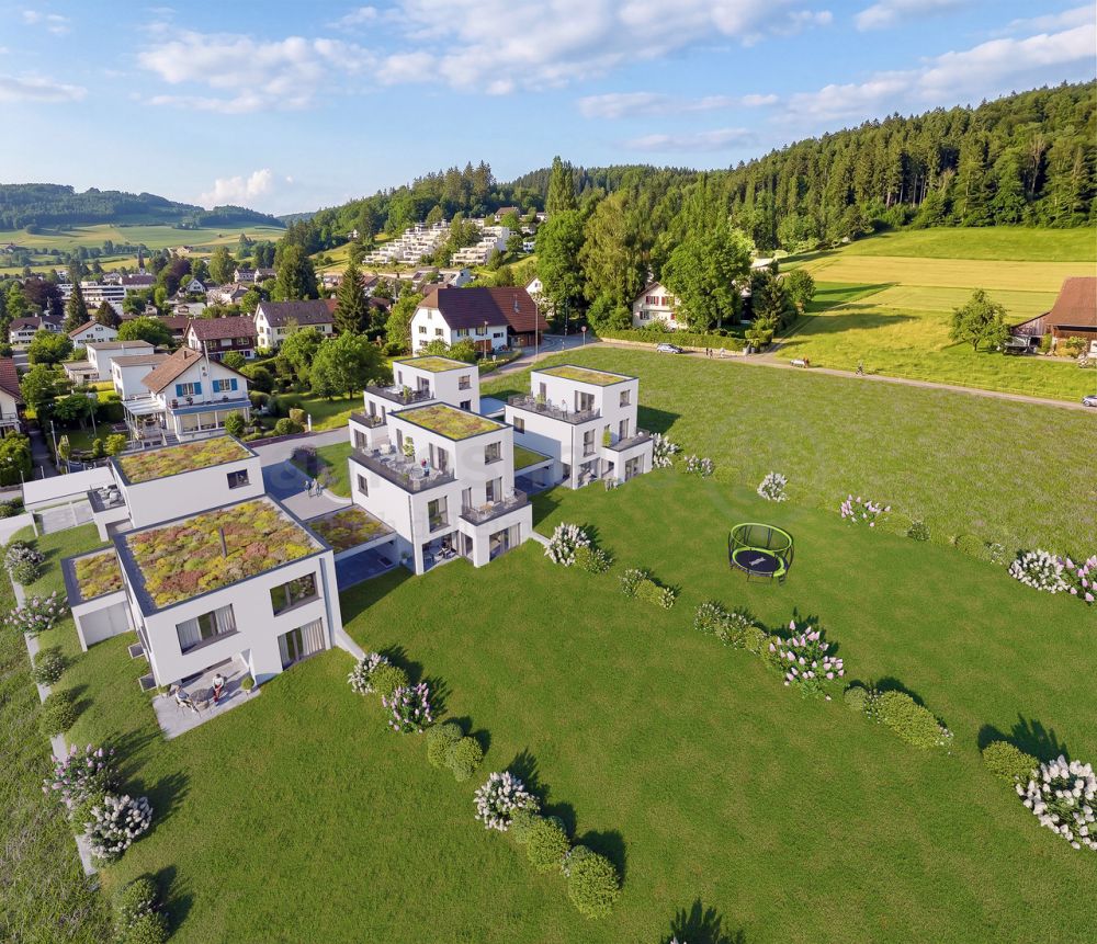 Seltene Chance: EFH in Reinach mit aussergewöhnlich viel Land -  Bild 1