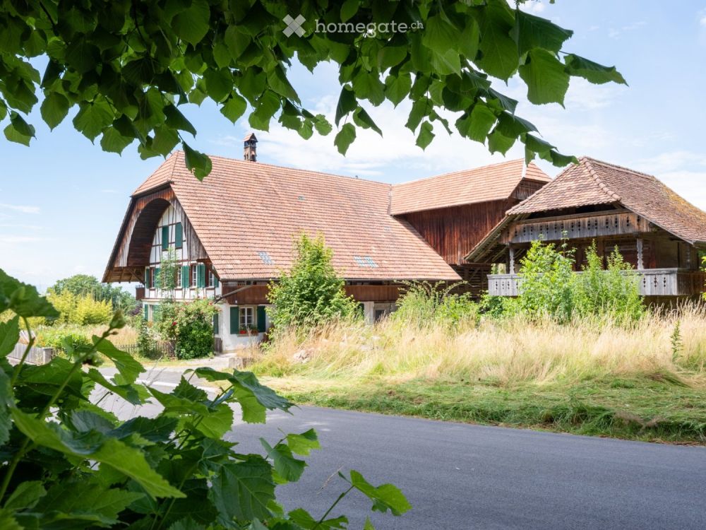 Neue moderne 2.5 Zi. Wohnung mit Charme in Bauernhaus im EG -  Bild 1