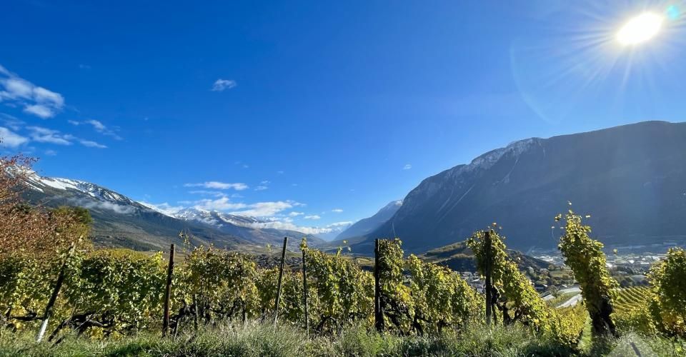 Promotion de 2 villas mitoyennes de 4.5 pces au calme, vue panoramique - Immeuble résidentiel 9 pièces - image - 8