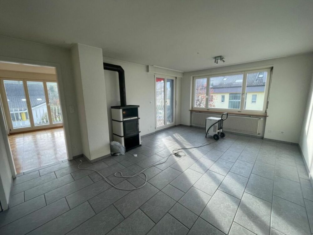 Liegenschaft vielseitig Nutzbar und viel Potenzial - Bild 6