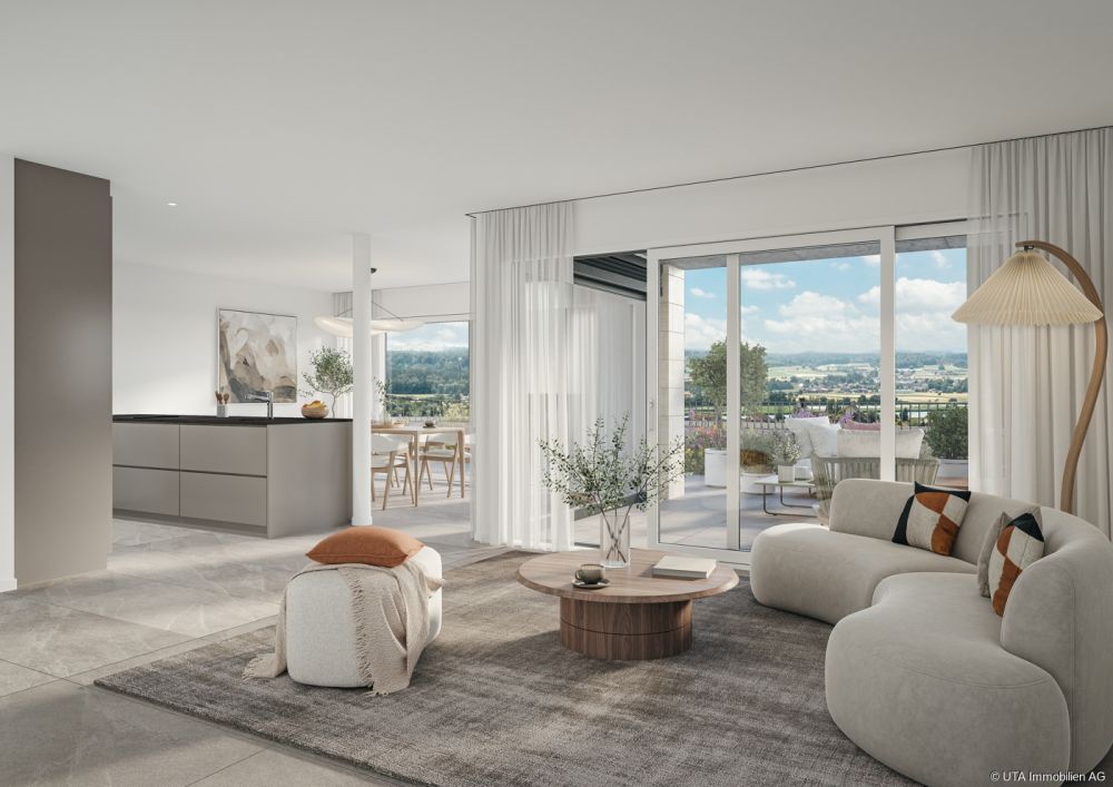 Einzigartige 3.5-Zimmer-Terrassenwohnung mit traumhaftem Weitblick übe - Klingnau_Innen_Ebene-1_03-08